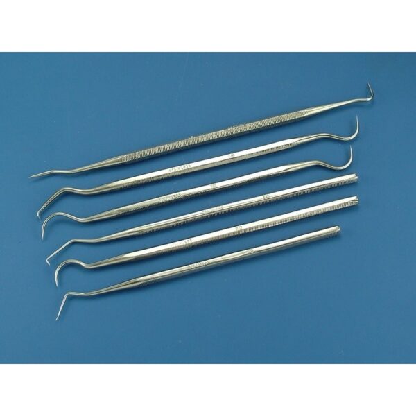 Set of 6 stainless steel probes