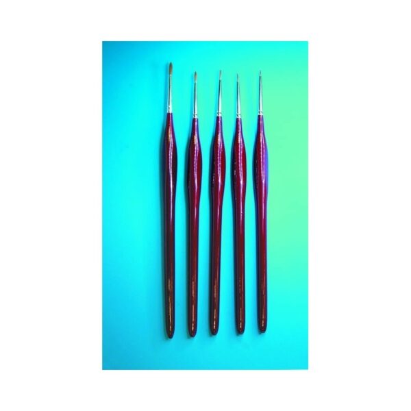 PPB2201/S1 Set of 5 Brushes